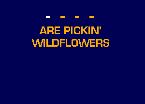 ARE PICKIN'
WLDFLOWERS