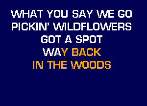 WHAT YOU SAY WE GO
PICKIM VVILDFLOWERS
GOT A SPOT
WAY BACK
IN THE WOODS