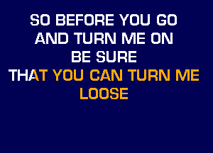 SO BEFORE YOU GO
AND TURN ME ON
BE SURE
THAT YOU CAN TURN ME
LOOSE