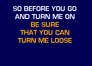 SO BEFORE YOU GO
AND TURN ME ON
BE SURE
THAT YOU CAN
TURN ME LOOSE