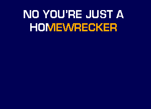 N0 YOU'RE JUST A
HOMEWRECKER