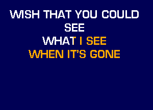 WISH THAT YOU COULD
SEE
WHAT I SEE
WHEN IT'S GONE