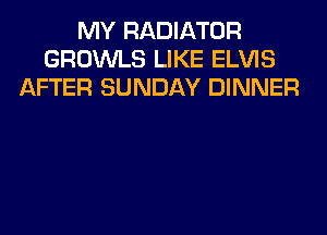 MY RADIATOR
GROWLS LIKE ELVIS
AFTER SUNDAY DINNER