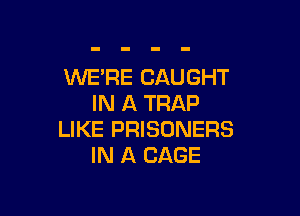 WE'RE CAUGHT
IN A TRAP

LIKE PRISONERS
IN A CAGE