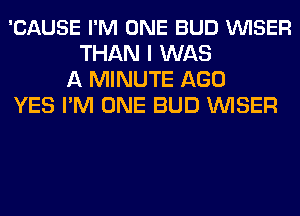 'CAUSE I'M ONE BUD VUISER
THAN I WAS
A MINUTE AGO
YES I'M ONE BUD VVISER