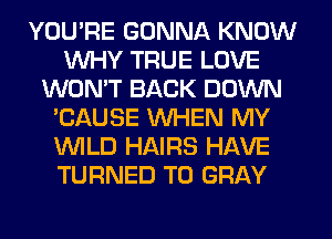 YOU'RE GONNA KNOW
WHY TRUE LOVE
WON'T BACK DOWN
'CAUSE WHEN MY
WILD HAIRS HAVE
TURNED T0 GRAY