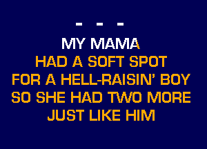 MY MAMA
HAD A SOFT SPOT
FOR A HELL-RAISIN' BUY
80 SHE HAD TWO MORE
JUST LIKE HIM