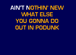 AIN'T NOTHIN' NEW
WHAT ELSE
YOU GONNA DO

OUT IN PODUNK