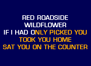 RED ROADSIDE
WILDFLOWER
IF I HAD ONLY PICKED YOU
TOOK YOU HOME
SAT YOU ON THE COUNTER