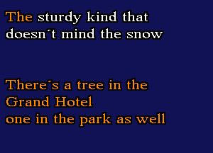The sturdy kind that
doesn't mind the snow

There's a tree in the
Grand Hotel
one in the park as well