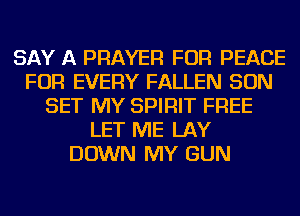 SAY A PRAYER FOR PEACE
FOR EVERY FALLEN SON
SET MY SPIRIT FREE
LET ME LAY
DOWN MY GUN