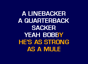 A LINEBACKER
A GUARTERBACK
SACKER

YEAH BOBBY
HE'S AS STRONG
AS A MULE