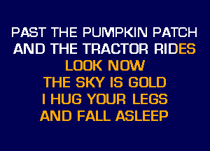 PAST THE PUMPKIN PATCH
AND THE TRACTOR RIDES
LOOK NOW
THE SKY IS GOLD
I HUG YOUR LEGS
AND FALL ASLEEP