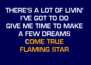 THERE'S A LOT OF LIVIN'
I'VE GOT TO DO
GIVE ME TIME TO MAKE
A FEW DREAMS
COME TRUE
FLAMING STAR