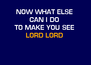 NOW 1iNl-iAT ELSE
CAN I DO
TO MAKE YOU SEE

LORD LORD