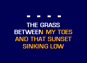 THE GRASS
BETWEEN MY TDES
AND THAT SUNSET

SINKING LOW

g