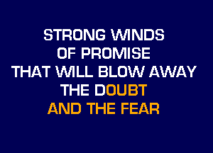 STRONG WINDS
0F PROMISE
THAT WILL BLOW AWAY
THE DOUBT
AND THE FEAR