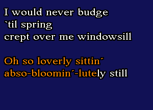 I would never budge
til spring
crept over me windowsill

Oh so loverly sittin'
abso-bloomin'-lutely still