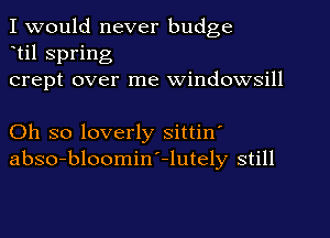 I would never budge
til spring
crept over me windowsill

Oh so loverly sittin'
abso-bloomin'-lutely still