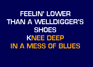 FEELIM LOWER
THAN A WELLDIGGER'S
SHOES
KNEE DEEP
IN A MESS 0F BLUES