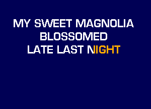 MY SWEET MAGNOLIA
BLOSSOMED
LATE LAST NIGHT
