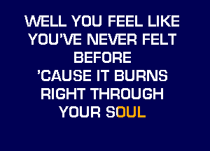 WELL YOU FEEL LIKE
YOUWE NEVER FELT
BEFORE
'CAUSE IT BURNS
RIGHT THROUGH
YOUR SOUL