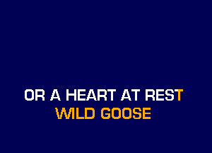 OR A HEART AT REST
WILD GOOSE