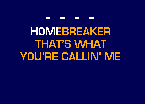 HOMEBREAKER
THAT'S WHAT

YOU'RE CALLIN' ME