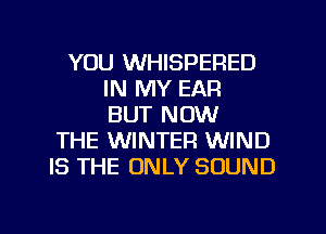 YOU WHISPERED
IN MY EAR
BUT NOW
THE WINTER WIND
IS THE ONLY SOUND