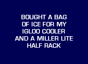 BOUGHT A BAG
OF ICE FOR MY
IGLUO COOLER
AND A MILLER LITE
HALF RACK

g