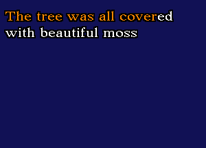 The tree was all covered
with beautiful moss