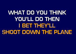 WHAT DO YOU THINK
YOU'LL DO THEN
I BET THEY'LL
SHOOT DOWN THE PLANE