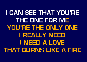 I CAN SEE THAT YOU'RE
THE ONE FOR ME
YOU'RE THE ONLY ONE
I REALLY NEED
I NEED A LOVE
THAT BURNS LIKE A FIRE