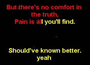 Butthere's no comfort in
the truth,
Pain is an you'il find.

Should'Ve known better.
yeah