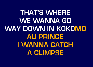 THAT'S WHERE
WE WANNA GO
WAY DOWN IN KOKOMO
AU PRINCE
I WANNA CATCH
A GLIMPSE