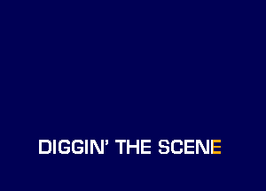 DIGGIM THE SCENE