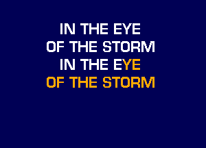 IN THE EYE
OF THE STORM
IN THE EYE

OF THE STORM