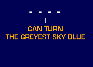 CAN TURN

THE GREYEST SKY BLUE