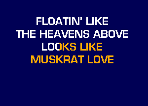 FLOATIM LIKE
THE HEAVENS ABOVE
LOOKS LIKE
MUSKRAT LOVE