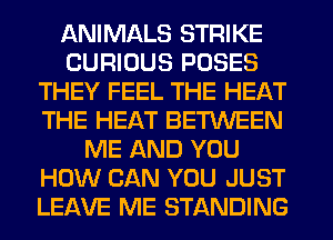 ANIMALS STRIKE
CURIOUS POSES
THEY FEEL THE HEAT
THE HEAT BETWEEN
ME AND YOU
HOW CAN YOU JUST
LEAVE ME STANDING