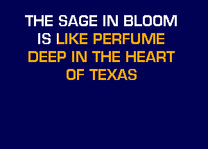 THE SAGE IN BLOOM
IS LIKE PERFUME
DEEP IN THE HEART
OF TEXAS