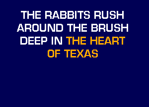THE RABBITS RUSH

AROUND THE BRUSH

DEEP IN THE HEART
OF TEXAS