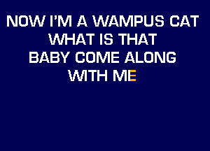 NOW I'M A WAMPUS CAT
WHAT IS THAT
BABY COME ALONG

WTH ME