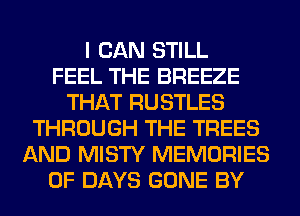 I CAN STILL
FEEL THE BREEZE
THAT RUSTLES
THROUGH THE TREES
AND MISTY MEMORIES
0F DAYS GONE BY