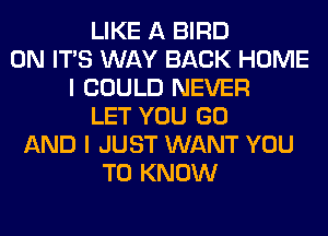LIKE A BIRD
0N ITS WAY BACK HOME
I COULD NEVER
LET YOU GO
AND I JUST WANT YOU
TO KNOW