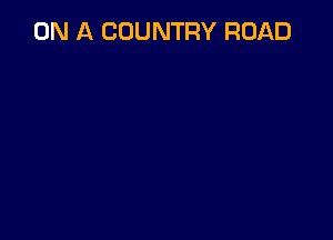 ON A COUNTRY ROAD