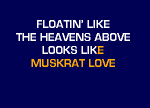 FLOATIM LIKE
THE HEAVENS ABOVE
LOOKS LIKE
MUSKRAT LOVE