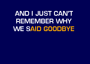 AND I JUST CAN'T
REMEMBER WHY
WE SAID GOODBYE