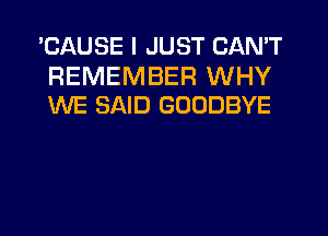 'CAUSE I JUST CAN'T

REMEMBER WHY
WE SAID GOODBYE