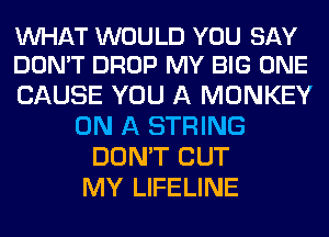 WHAT WOULD YOU SAY
DON'T DROP MY BIG ONE

CAUSE YOU A MONKEY
ON A STRING
DON'T CUT
MY LIFELINE